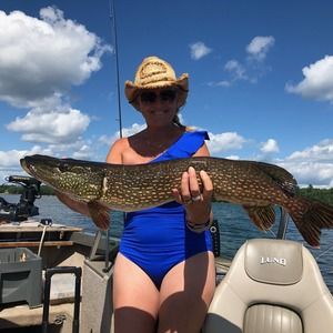 Meet your Posher, Kim